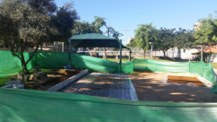 بالصور: تجديد حديقة مركز الشباب في يافا